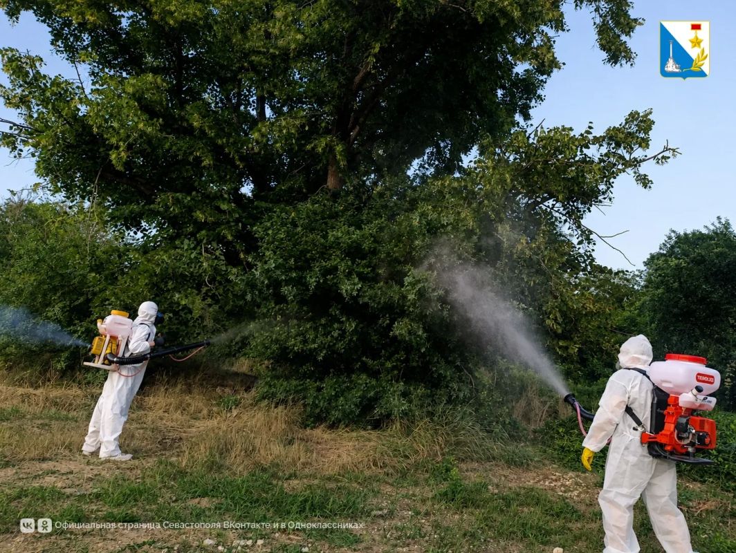 На Максимовой даче обработали четыре гектара деревьев от вредителей
