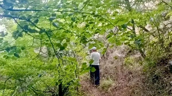 Туристка заблудилась на Большой севастопольской тропе