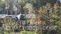 В розарии у памятника П. С. Нахимову в Севастополе ухаживают за растениями