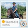 Здравствуй, Севастополь!. По данным гидрометцентра, 21 июля в Севастополе будет малооблачно