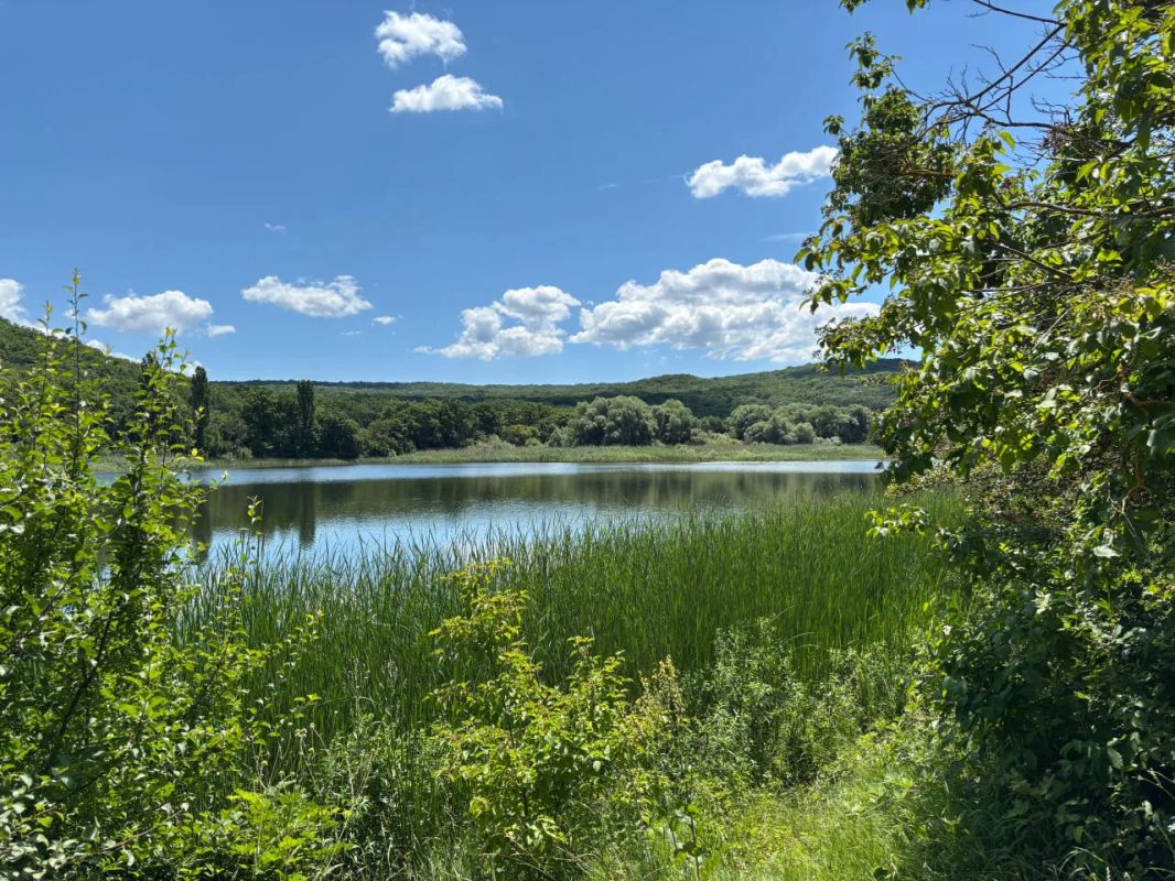 Прогноз погоды в Крыму на 21 июля