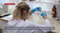Более девяти тысяч исследований продуктов провели в Севастополе с начала года