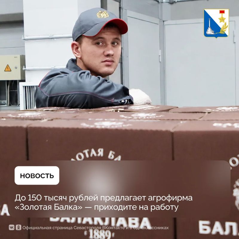 Работать в живописной долине под Балаклавой и создавать вино от лозы до бокала — звучит идеально?