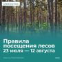 Внимание: ограничения в лесах Севастополя!