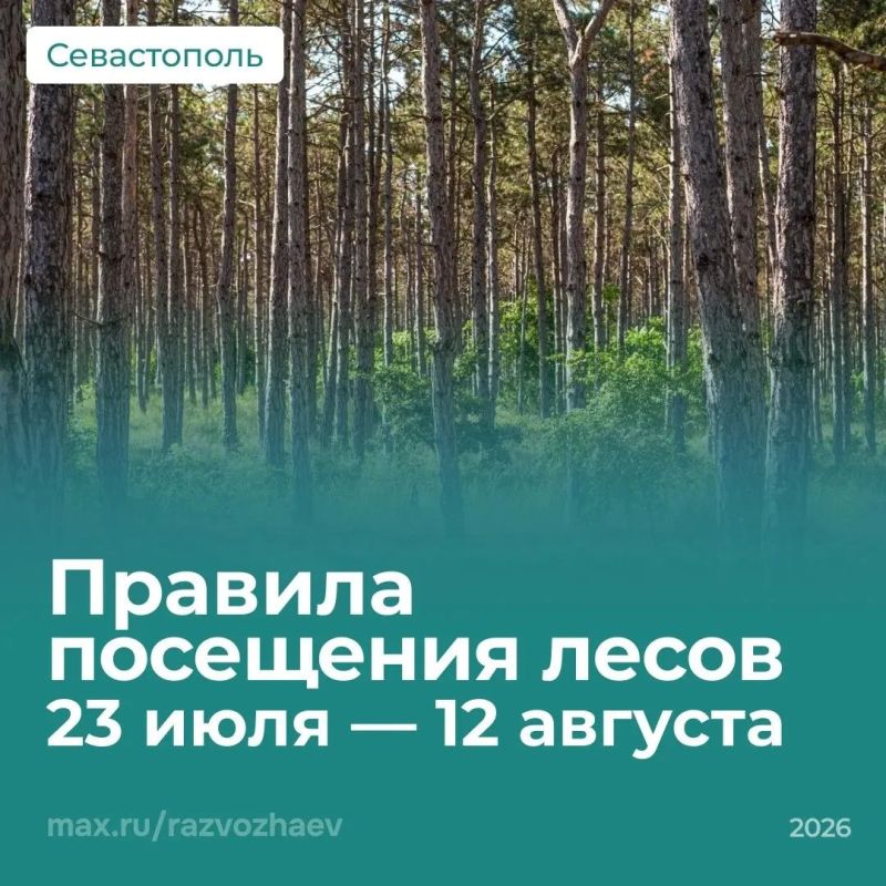 Внимание: ограничения в лесах Севастополя!