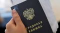 В Севастополе состоится ярмарка вакансий – что предложат соискателям