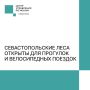 В лесах Севастополя можно гулять и кататься на велосипедах