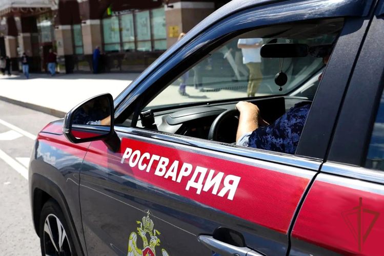 В Симферополе сотрудники Росгвардии задержали подозреваемого в краже из гипермаркета