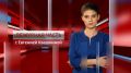 Дежурная часть. Севастополь от 24.07.2026