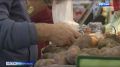 Россияне выбирают осознанно: внимание к составу продуктов стремительно растёт