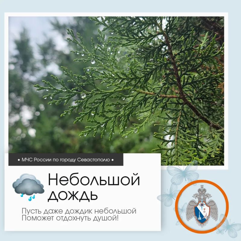 Здравствуй, Севастополь!. По данным гидрометцентра, 25 июля в Севастополе будет переменная облачность