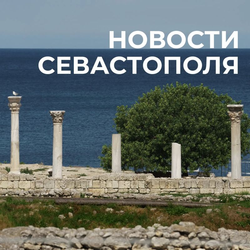 Михаил Развожаев: Коротко о главном: