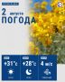 Сегодня температура воздуха в городе поднимется до +31