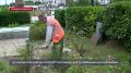 У администрации Гагаринского района ухаживают за цветниками