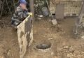 Прокуратура добилась устранения нарушений в санитарной зоне городского водовода на Античном бульваре