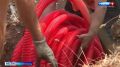 В Севастополе на Фиоленте началось благоустройство детской площадки
