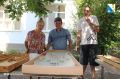 Севастопольских пенсионеров приглашают играть в настольные игры