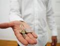 За семь месяцев выдача ипотеки в России увеличилась на 38%