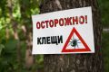 Роспотребнадзор мониторирует эпидемиологическую ситуацию по инфекциям, передающимся с укусами клещей