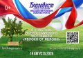 Сила в корнях, смысл в продолжении