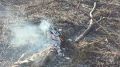 Семь гектаров леса горели в Севастополе