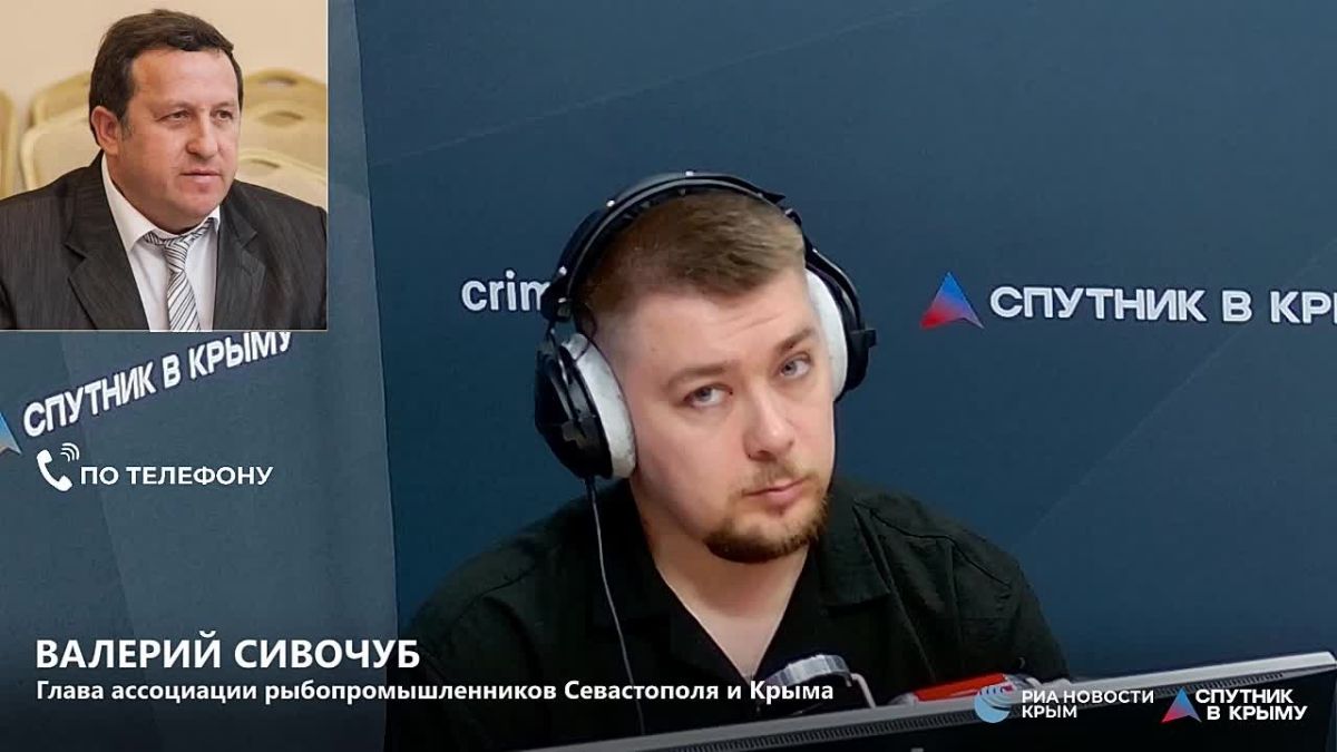 Субсидий от государства хватит для поддержки рыбных компаний до путины хамсы в октябре