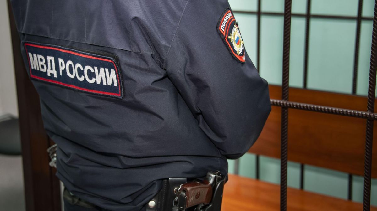 Пожилой севастополец вырастил наркоплантацию на приусадебном участке