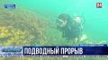 7 тысяч людей научились подводному плаванию в Севастополе