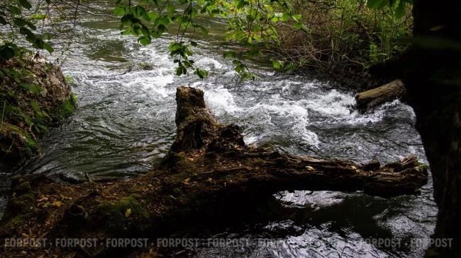 С 1 июля 2026 года в городе создано ГКУ «СевВодРесурсы»