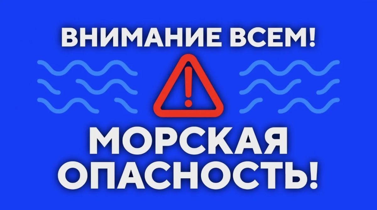 Михаил Развожаев: Внимание всем! Морская опасность!