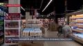 В магазинах Севастополе за неделю подешевели рис, гречка и борщевой набор