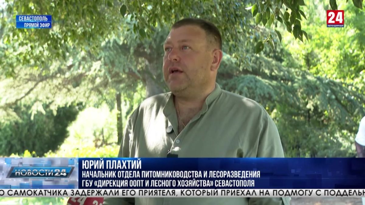 Полсотни севастопольских школьников получили первый опыт работы в лесопитомниках региона