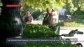 �� ���������� �������� ��������� �� ������������ � ��������