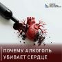 Почему алкоголь убивает сердце