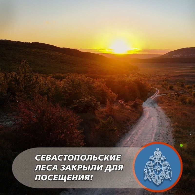 Леса закрыли из-за угрозы пожаров в Севастополе