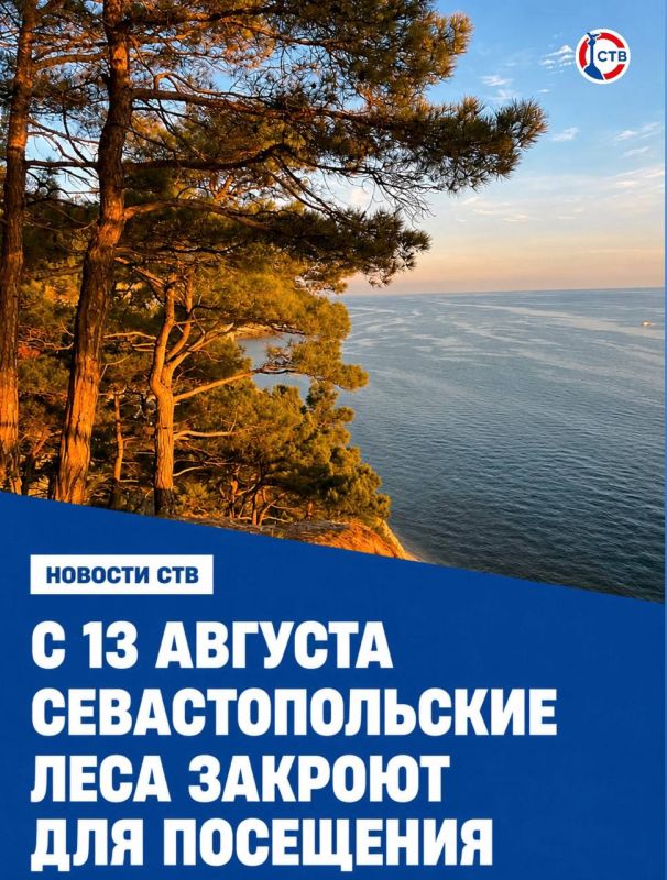 Ограничение на посещение леса вводят на 21 день из-за жаркой и сухой погоды и высокого риска возникновения пожаров