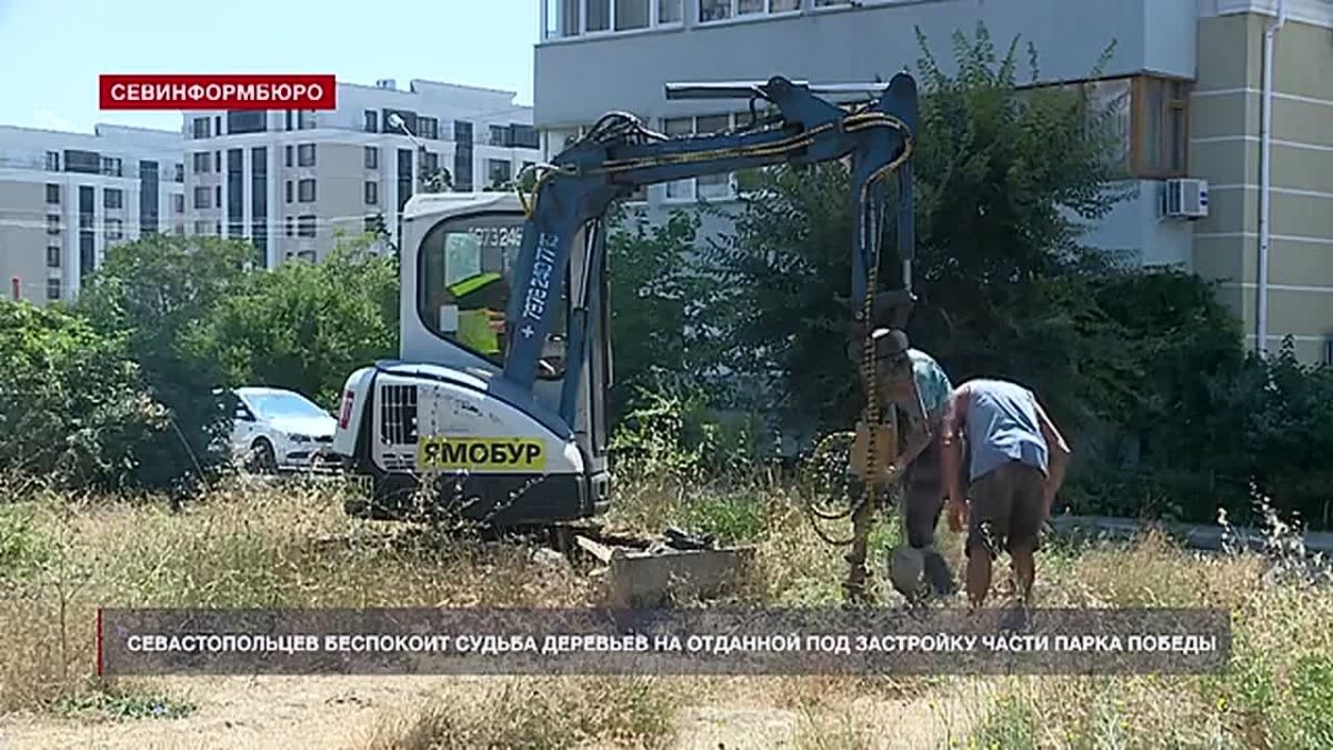 Севастопольцы обеспокоены судьбой деревьев на отданной под застройку территории у Парка Победы