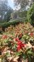 ������ � ����������� �����������