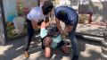 � ����������� ��������� ���������� ���������������� �����������