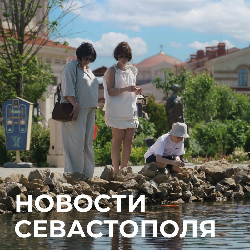 Михаил Развожаев: Коротко о главном:. Севастопольский маткапитал