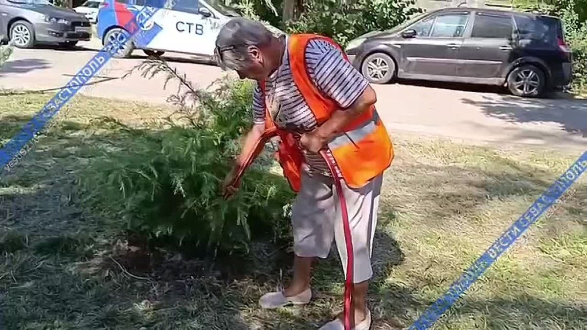 Специалисты ежедневно заботятся о парках и скверах города