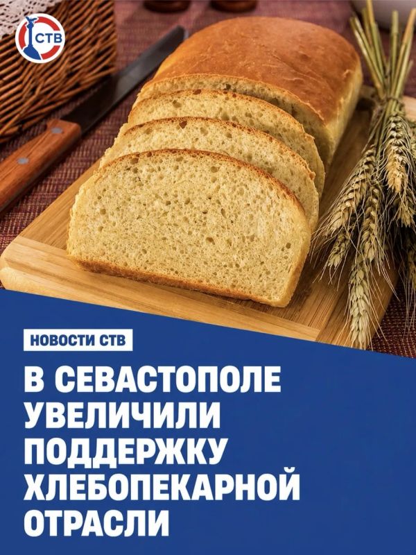 В Севастополе увеличили финансирование хлебопекарей
