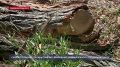 � ����������� ��������� ������ ������� ��������� ������� � ����� ����� ����� �����