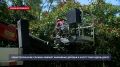 В Севастополе городские службы убирают аварийные деревья и косят траву вдоль дорог