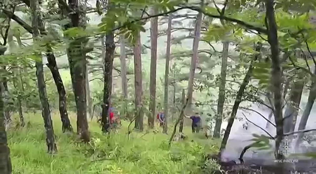 В Ялте тушат крупный лесной пожар
