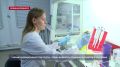 Учёные Севастополя и Санкт-Петербурга разрабатывают ПЦР-тесты для выявления паразитов в водоёмах