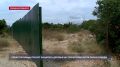 Севастопольцы просят защитить деревья в Парке Победы