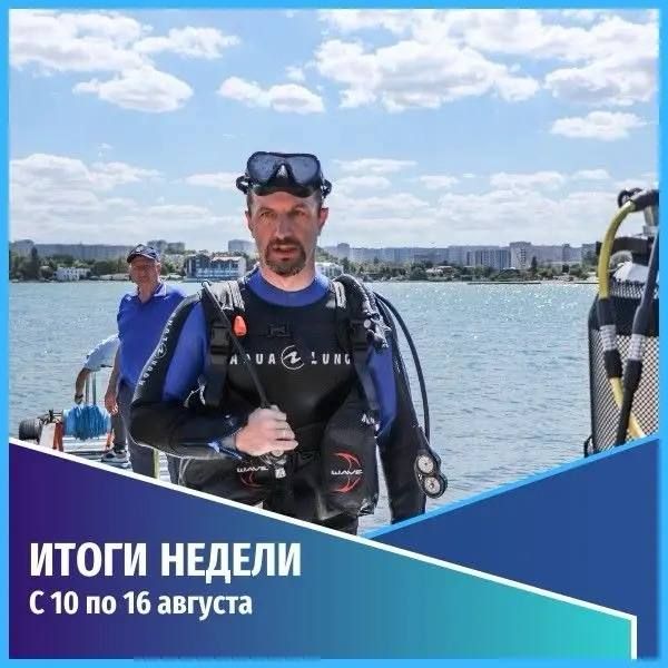 Общественная безопасность