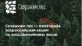 В этом году Севприроднадзор высадит свыше 7 тысяч лесных деревьев