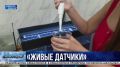 Как узнать о загрязнении Чёрного моря?